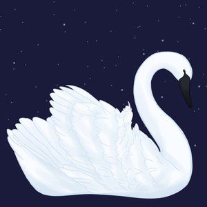 Meet your Posher, Destiny